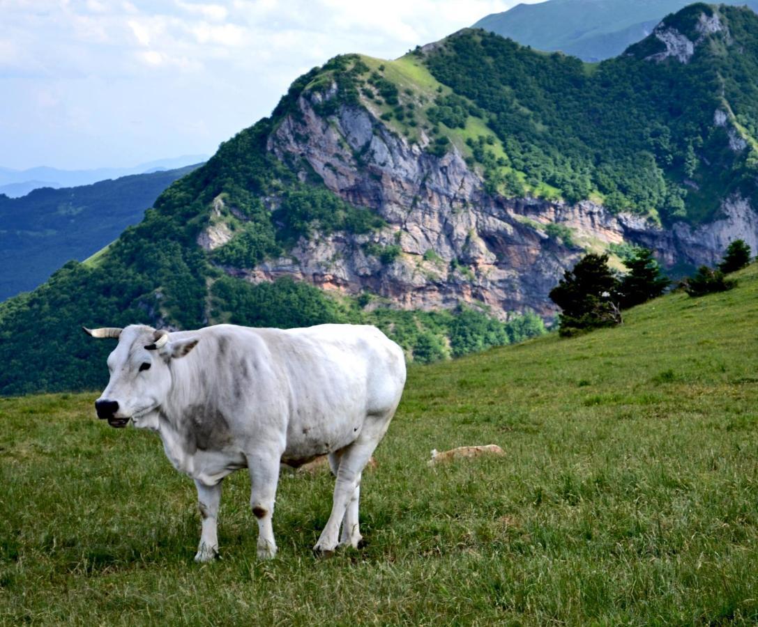 Locanda Della Rocca Sarnano Luaran gambar